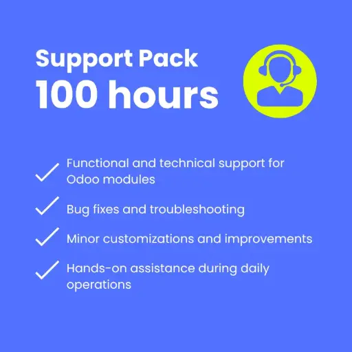 Support pack Enterprise (100h) 